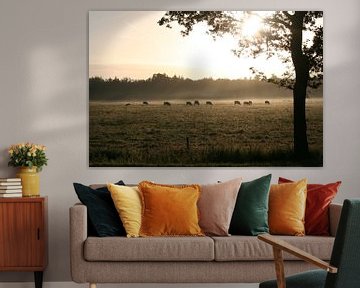 Zonnestralen schijnen op grazende koeien van Saskia van den Berg Fotografie