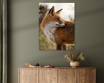 zijportret van een vos van Kayleigh Heppener