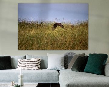 About the dunes
