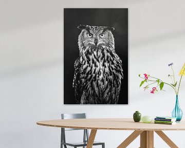 Fine-art portrait of an Eagle Owl in Black and White by Lotte van Alderen