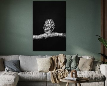 Fine-art portrait of an owl in black and white by Lotte van Alderen