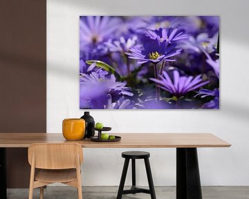 violette Blumen von Bernadette Alkemade-de Groot