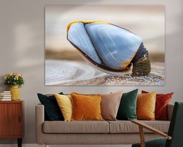 Duck mussel by Marcel Klootwijk