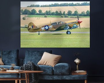 Curtiss P-40 Warhawk warbird. van Jaap van den Berg