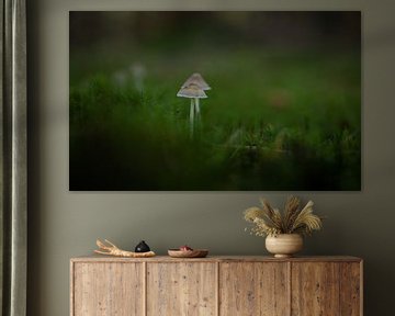 paddenstoelen van By Angela