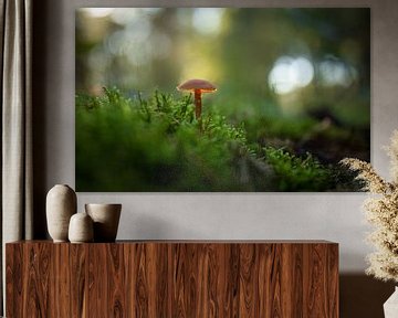 paddenstoelen van By Angela