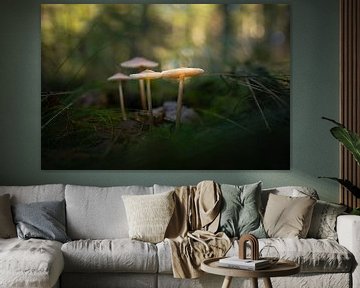 paddenstoelen van By Angela