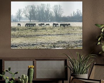 Koniks paarden silhouet 3 van Timo Kant