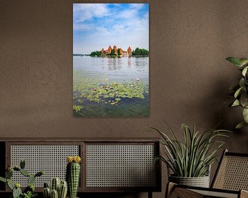 Nénuphars dans le lac de Galve avec le château de Trakai sur Marc Venema