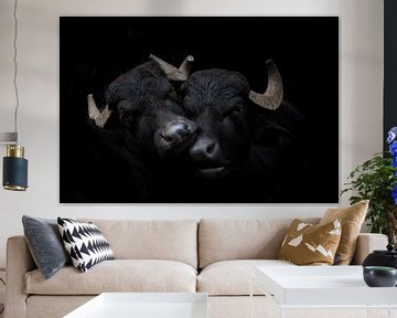 Twee waterbuffels op zwart van Janine Bekker Photography