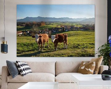 2 koeien in de wei, dorpsidylle Aidling Blue Land van SusaZoom
