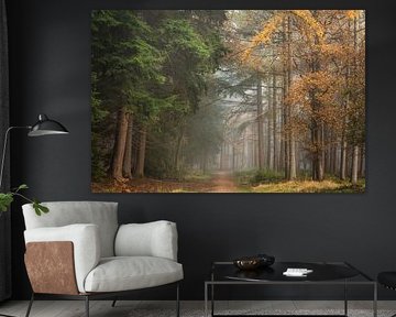 Green vs Orange by Jeroen Schouten