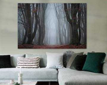 Danse dans le brouillard