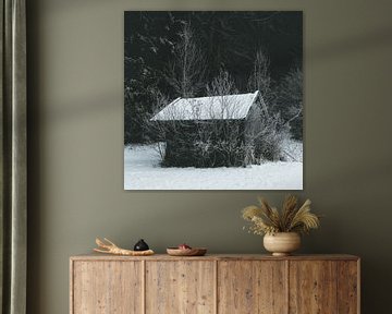 Hut in de sneeuw met vorst van Andreas Friedle
