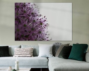 Flowering onion - purple allium