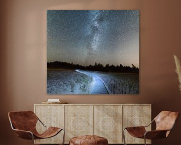 Houten pad in de zandduinen van Yevgen Belich