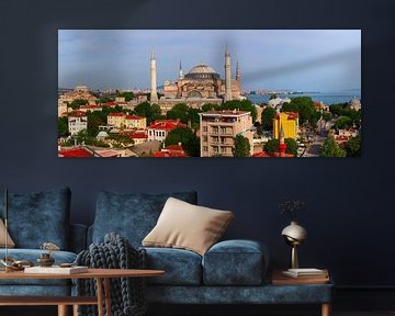 Hagia Sophia, Istanbul. van Yevgen Belich