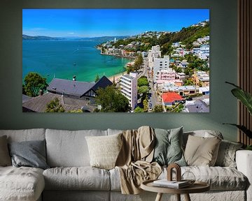 Wellington city, Nieuw Zeeland. van Yevgen Belich