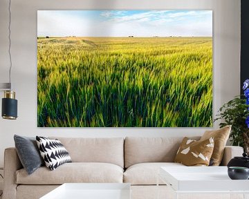 Weizenfelder im Sommer von Yevgen Belich