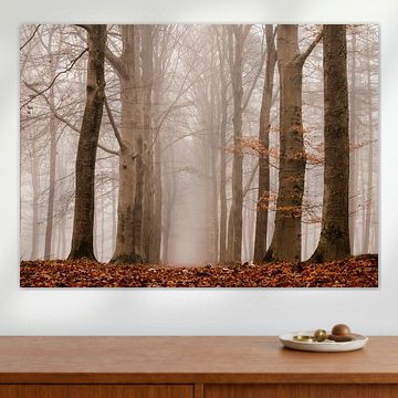 Nebliger Morgen im Dezember von Marloes ten Brinke