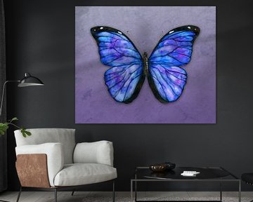 Morpho menelaus Aquarell