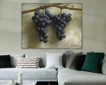 Weintrauben von David Potter