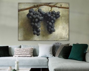 Grapes van David Potter