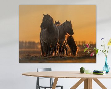 Paarden bij zonsopkomst van Jan-Willem Mantel