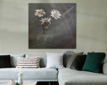 A little light in dark days by Marie Stas
