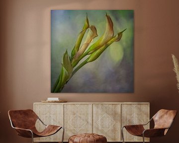 Lilies by Marie Stas