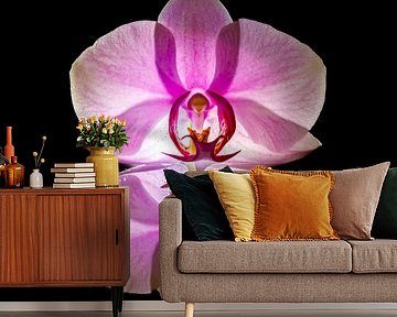 Orchidee van Roland Brack