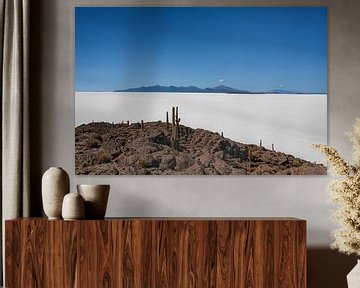 Zoutvlakte van Uyuni en Incahuasi eiland van Erwin Blekkenhorst