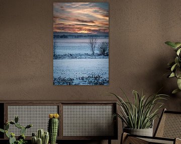 Winterse zonsondergang van Jesper Drenth Fotografie