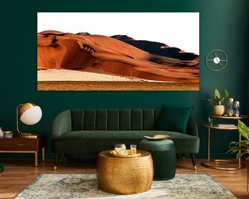 in the Namib Desert by Alex Neumayer