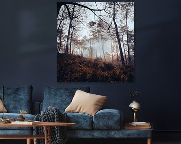 Brume dans la nature sur Carina Meijer ÇaVa Fotografie