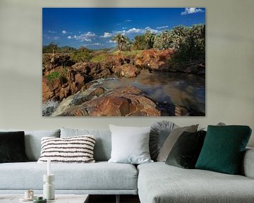 Epupa Falls in Namibia by Alex Neumayer