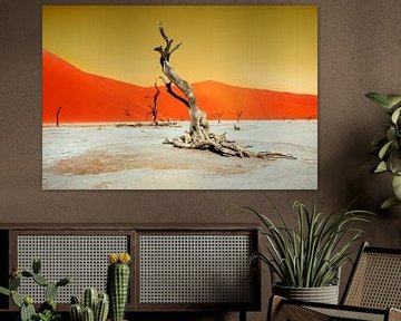 Dead Vlei in de Namib van Alex Neumayer