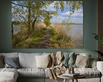 Biesbosch wandeldijk van Hans Janssen