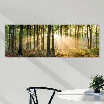 Panorama des rayons du soleil