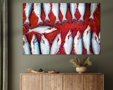 White fish on a red background in pattern by Steven World Traveller