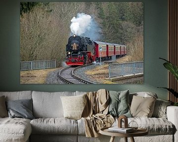 Die Harzquerbahn zwischen Sorge und Elend von t.ART