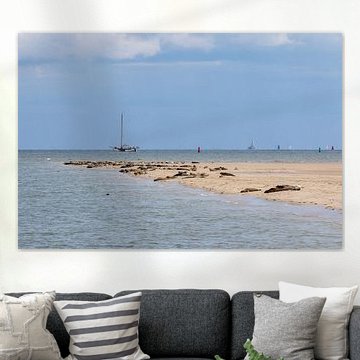 Seehunde vor Terschelling