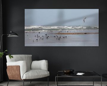 Gulls in the surf by Evert Jan Kip