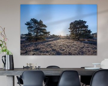 Stralende zonsopkomst met een helder blauwe hemel op de heide van John van de Gazelle fotografie