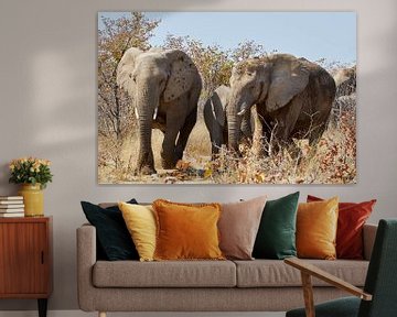 Famille d'éléphants dans la brousse africaine sur Thomas Marx