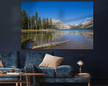 Mountain Lake Tenaya in Yosemite National Park in the United States of America by Marc Venema
