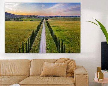 Avenue of Cypresses in Toscane van Denis Feiner