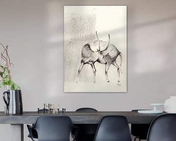 Deer