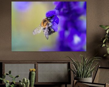 Field bumblebee by Niek Goossen