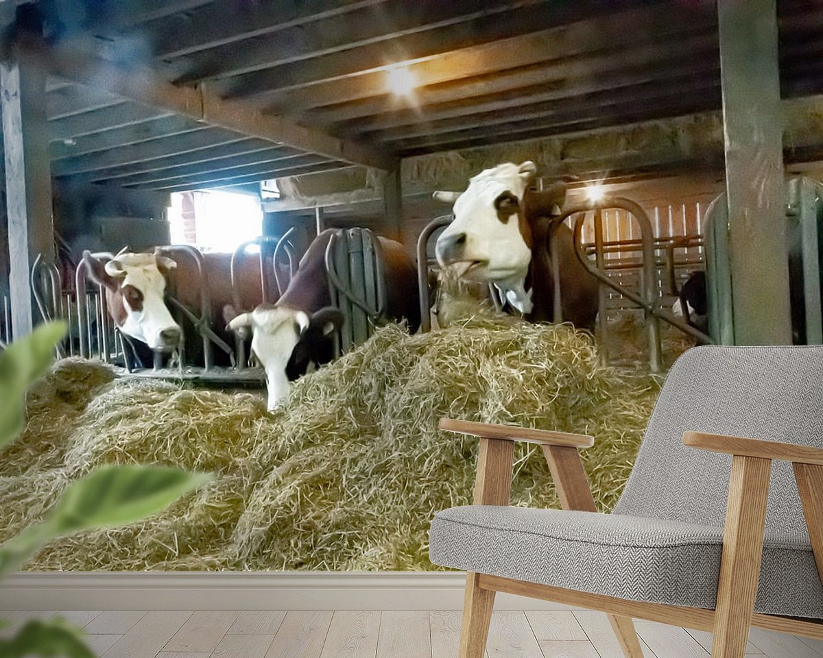 Raumvorschau
